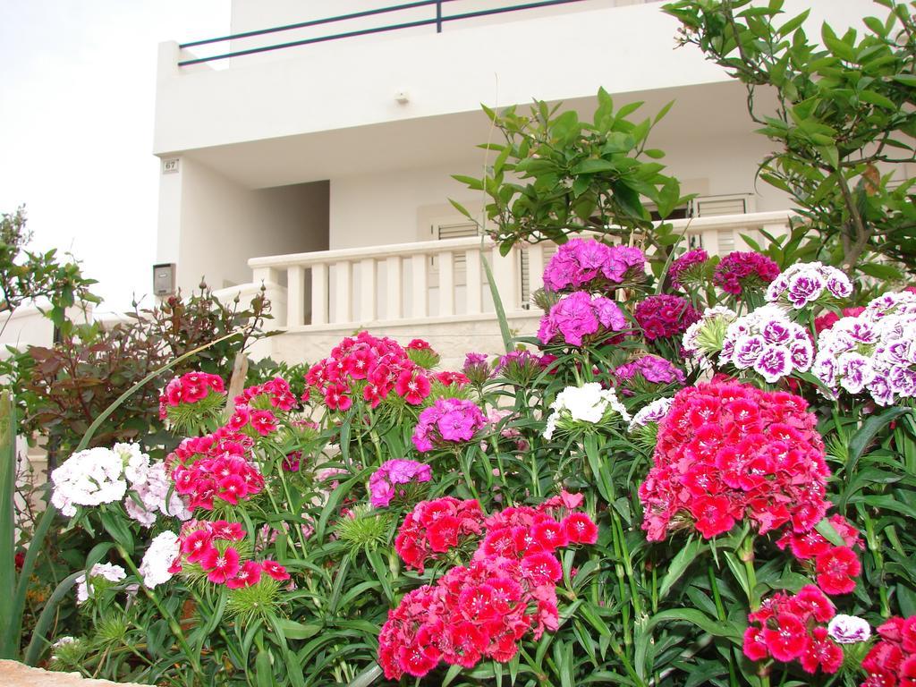 Villa Fio - Hvar Хвар Екстер'єр фото